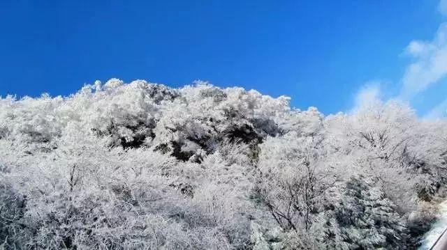 学工业设计的平时怎么练习软件知识星球|专注于分享学工业设计的平时怎么练习软件相关知识的平台