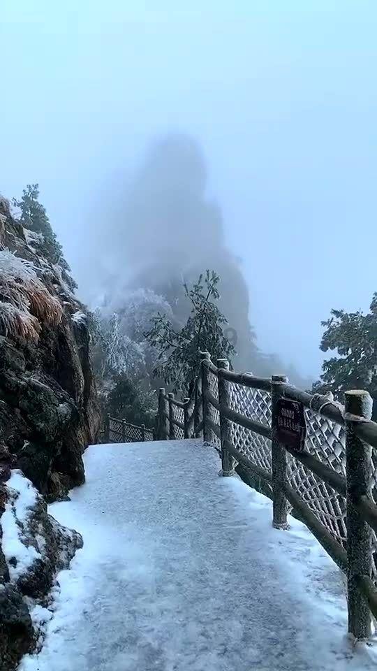 沪江开心词场