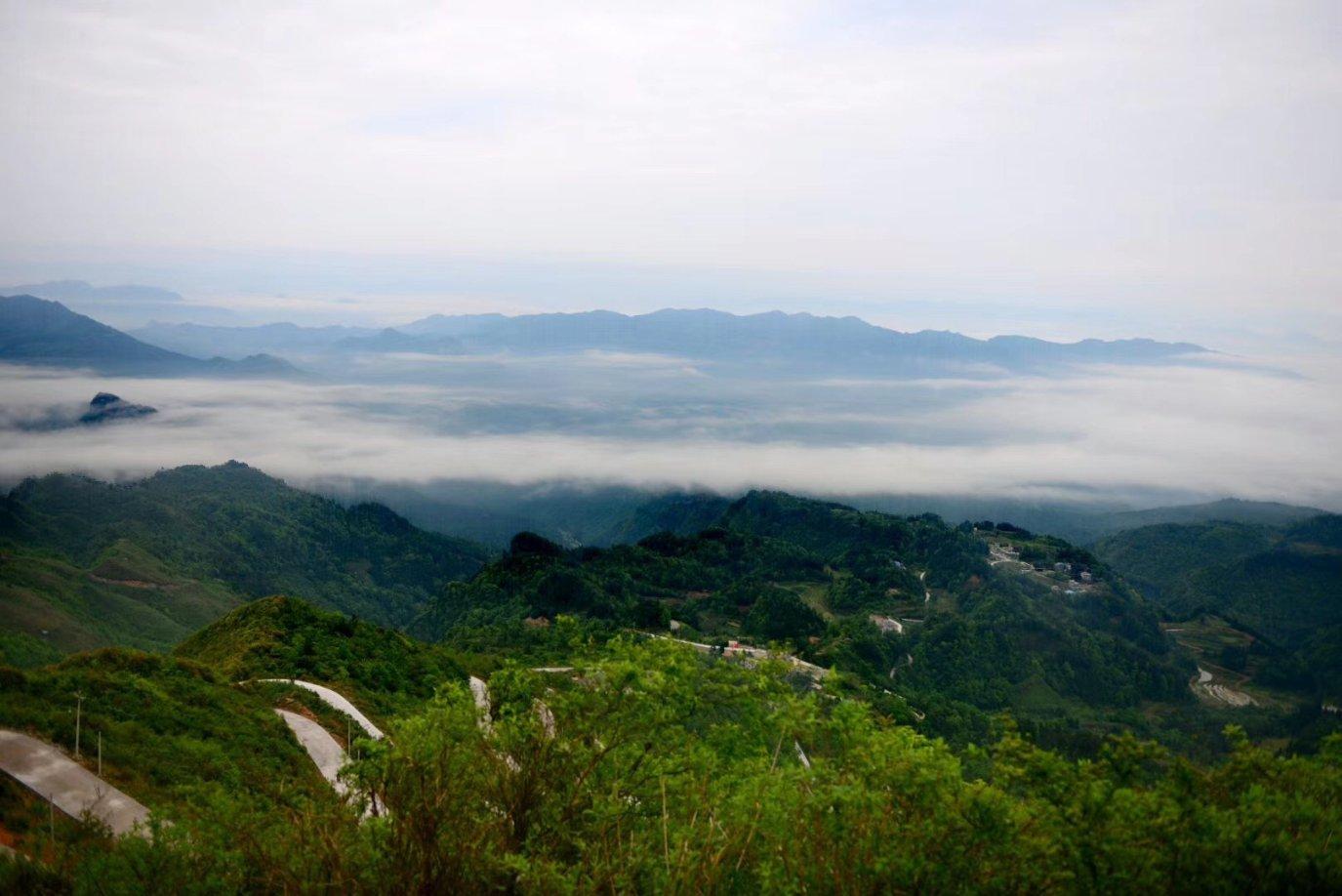 虫虫助手下载