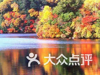 影视工厂