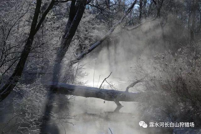 美图秀秀下载2023最新版