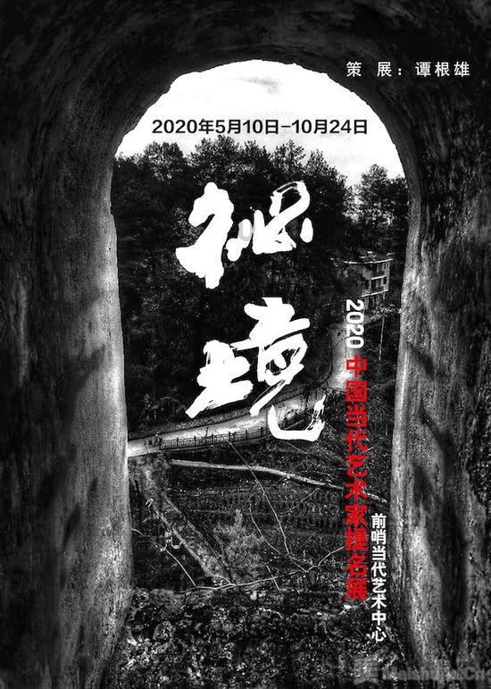植物大战僵尸17
