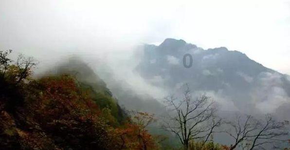 月光影视