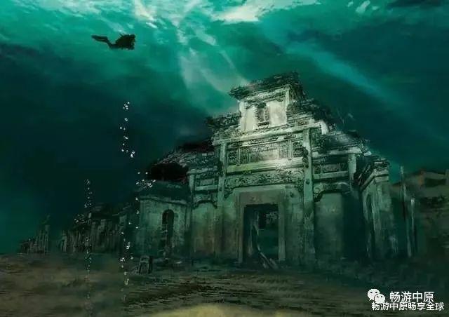 新西兰一小企鹅跑上机场跑道致航班延误 被抓后一脸呆萌