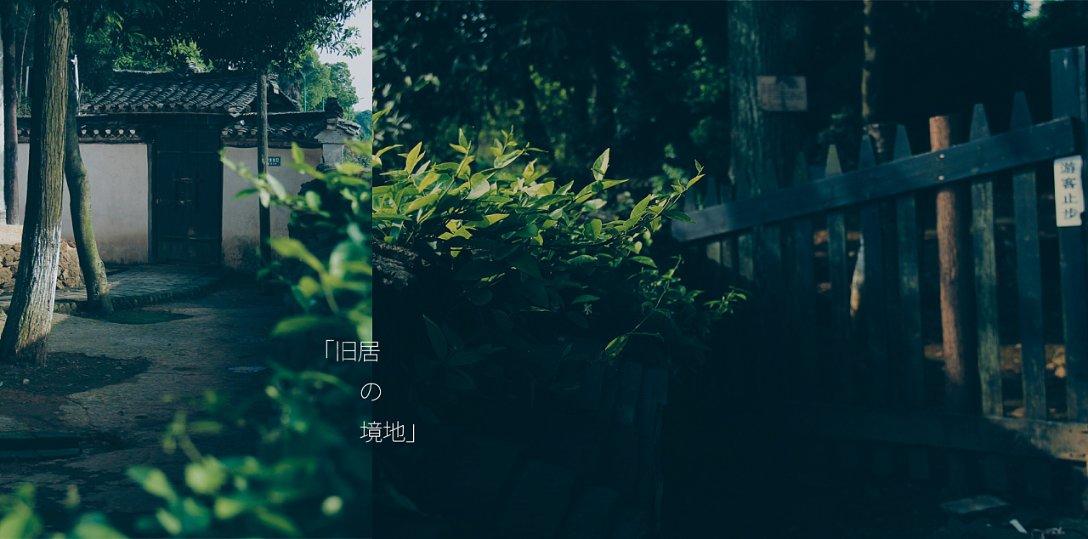 球球大作战下载最新版