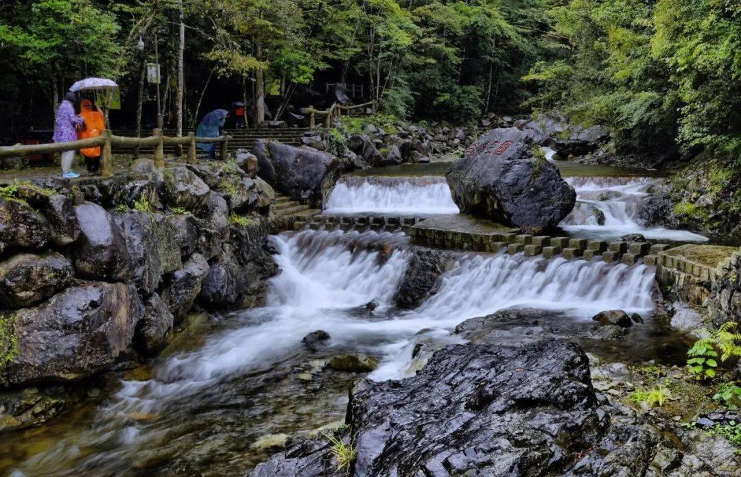 逃出林中村