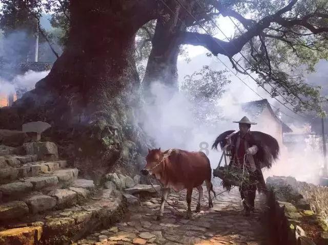 影视工厂