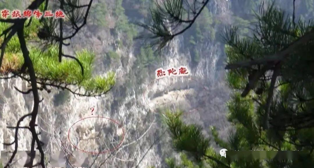 贝索斯未婚妻又去走红毯！抹胸黑裙尽显绝美身材