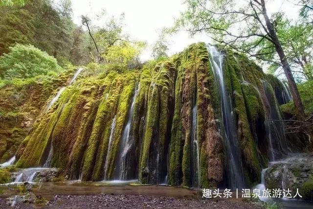误吞口香糖会造成什么样的后果？应该如何处理？游戏画面