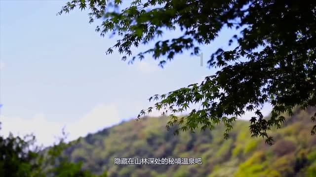 小猫钓鱼游戏龙王版有船