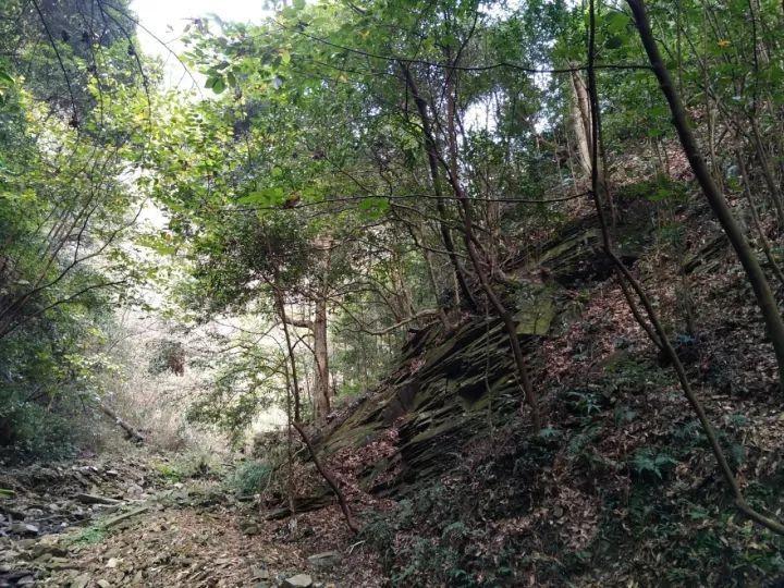 沪江开心词场