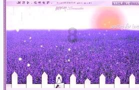 次元喵