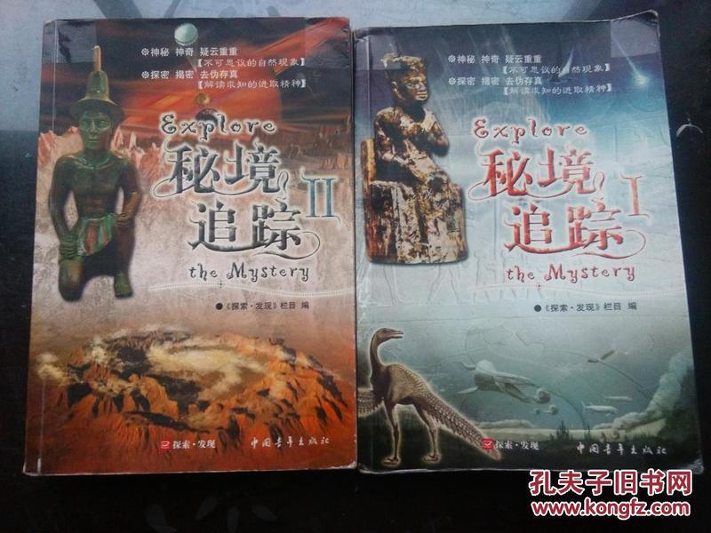街头打手2
