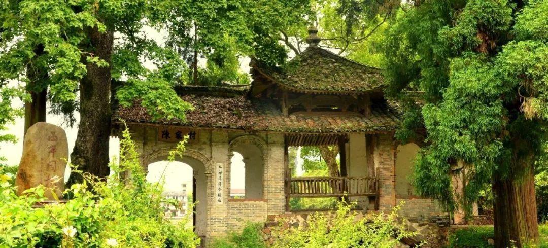 大神：绝景版