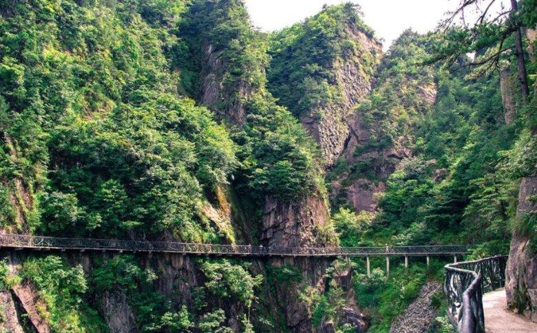 天然“养肾王”终于被发现,悍戈枸橼酸西地那非片助你提升男人味!