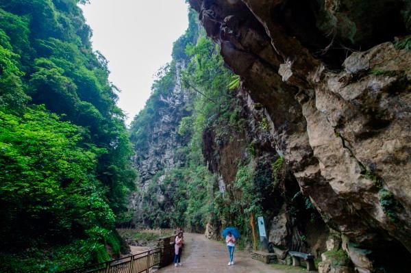 沪江开心词场