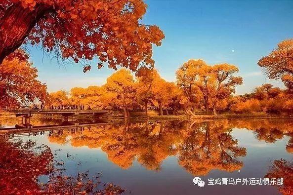 国家体育总局副局长张家胜调研天泰体育场、中联运动公园