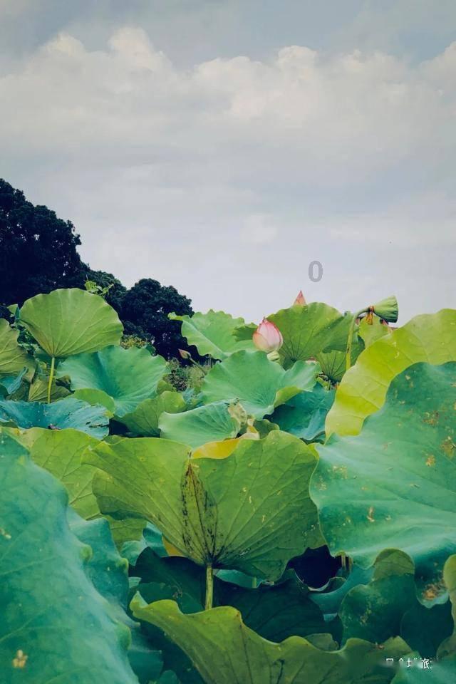 填满方块格