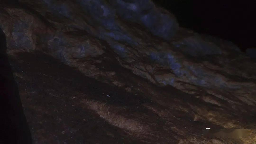 小猫钓鱼正版下载中文版