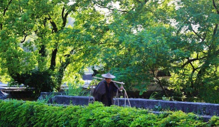 国药集团原党委委员、副总经理周斌接受纪律审查和监察调查