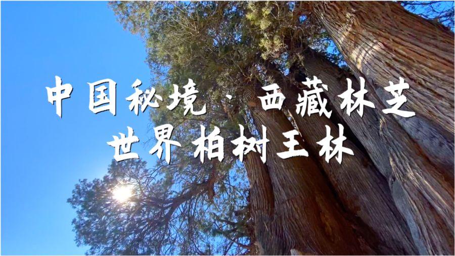 卡姆登市场