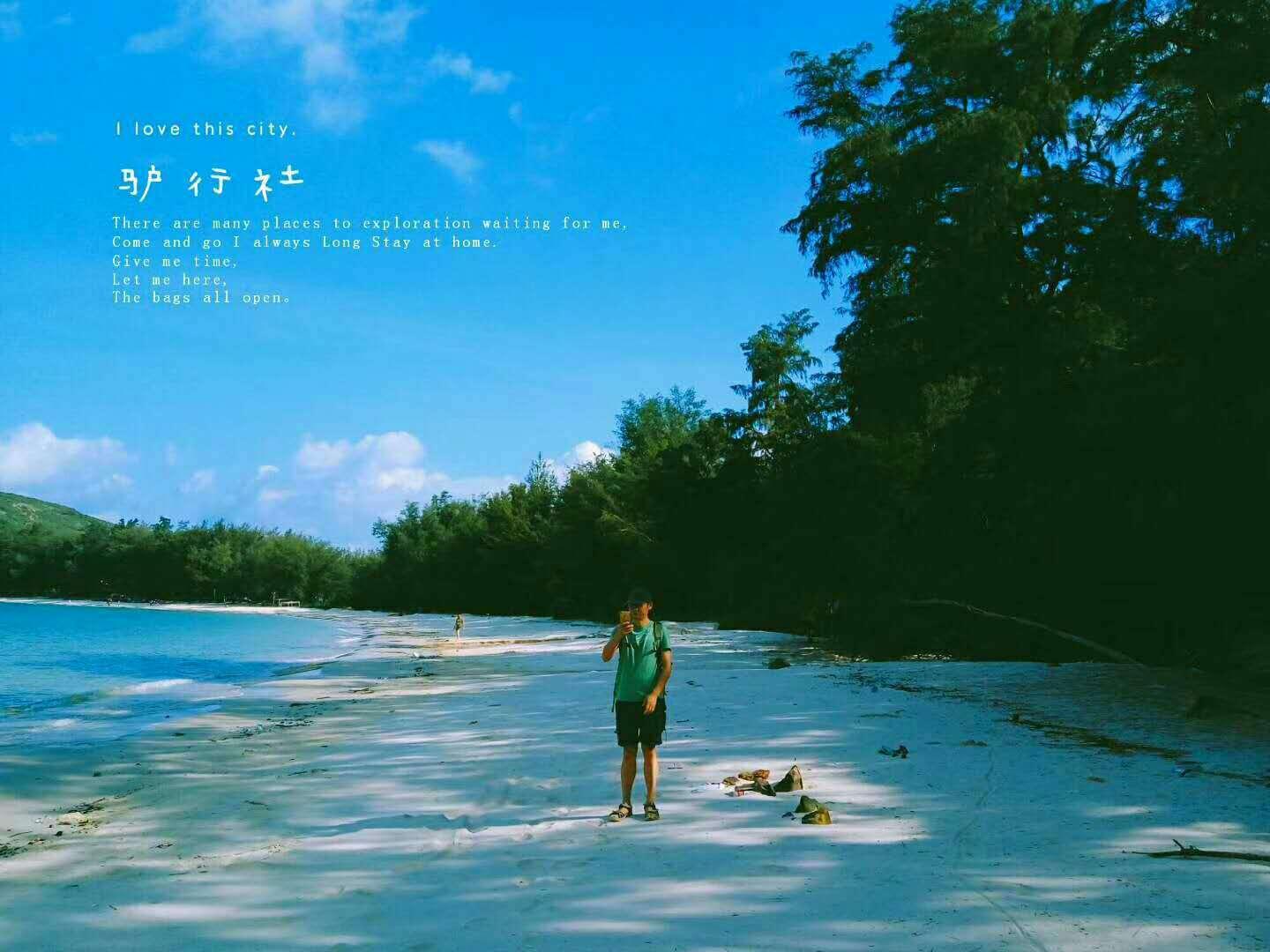 创作猫