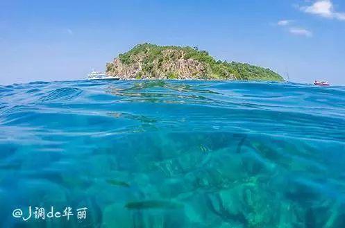 篮球大师