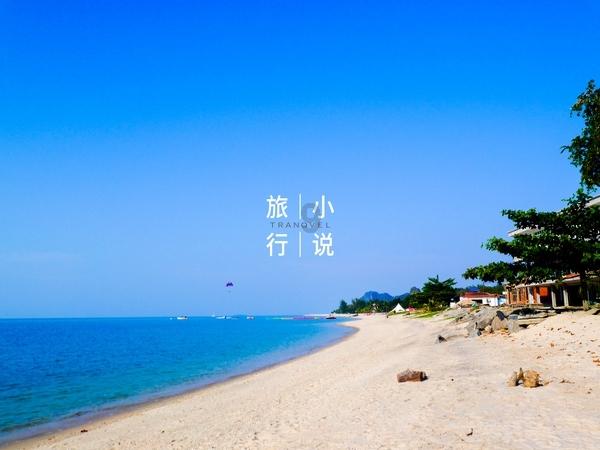 懒人爬地黄瓜什么时候打顶摘心？游戏画面