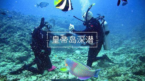 逃离黄金城堡