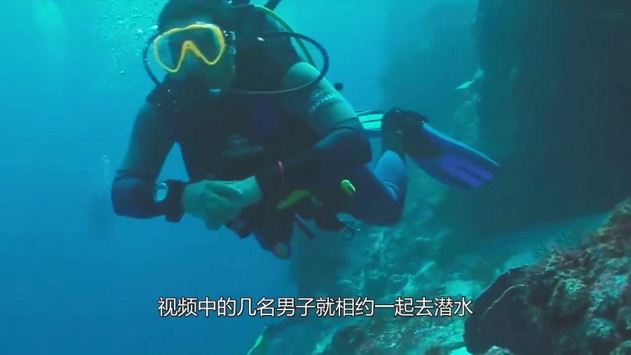 什么是中药提速多功能治疗仪?