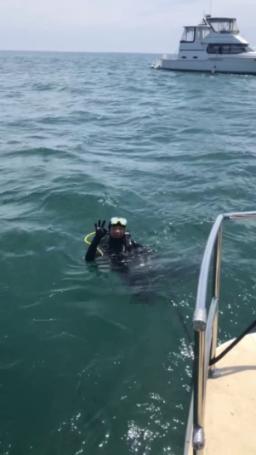 救援海盗章鱼