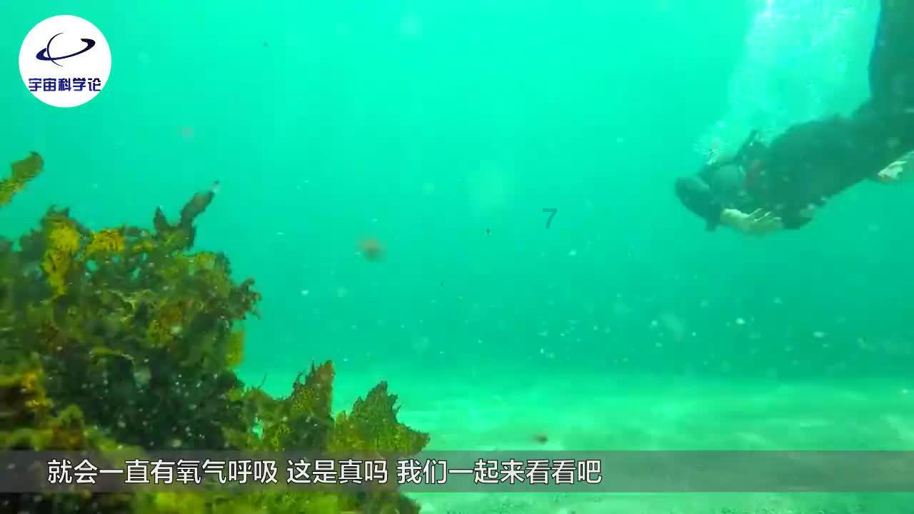 王傲世的梦