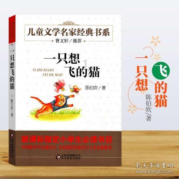 公主的华丽晚宴