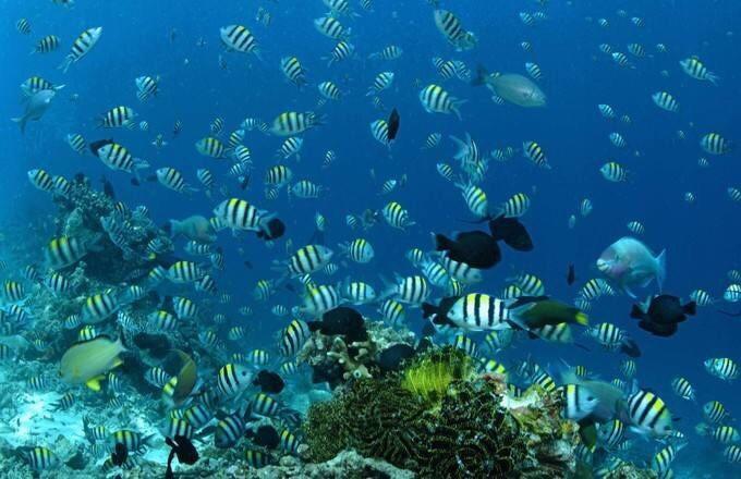 前海临海桂湾河桥通车!前海交通路网建设再添“关键一笔”