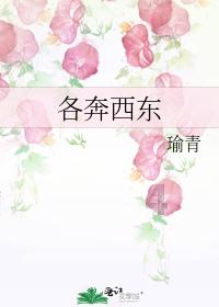 阳光女孩装扮