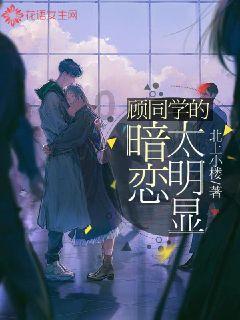 了解灵活就业养老保险交一年不到9000能退多少钱?知识星球,深入探索专业领域