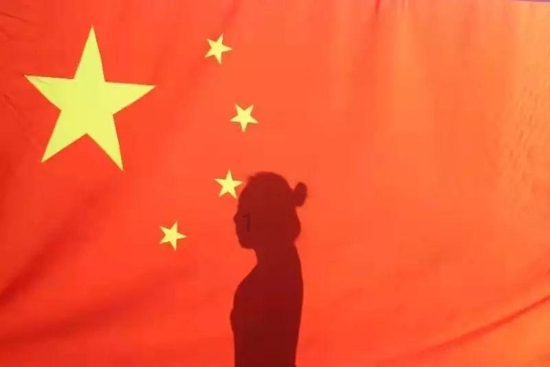 狐狸的旅程