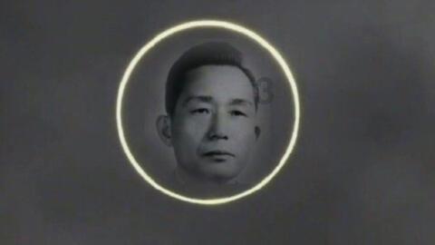 台头镇人民政府关于安全生产、燃气安全和环境保护等违法行为有奖举报的通告