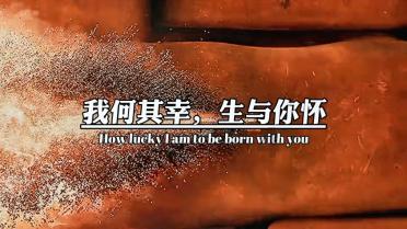 全民剧本大师内置菜单