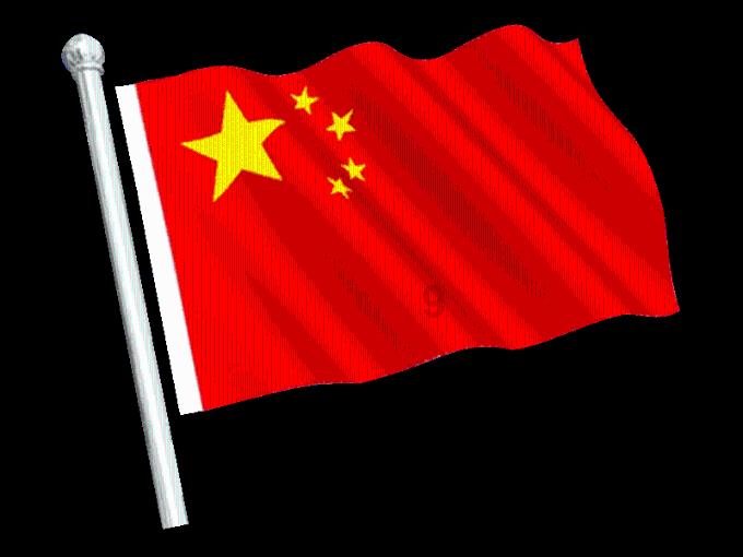 敏捷的白球