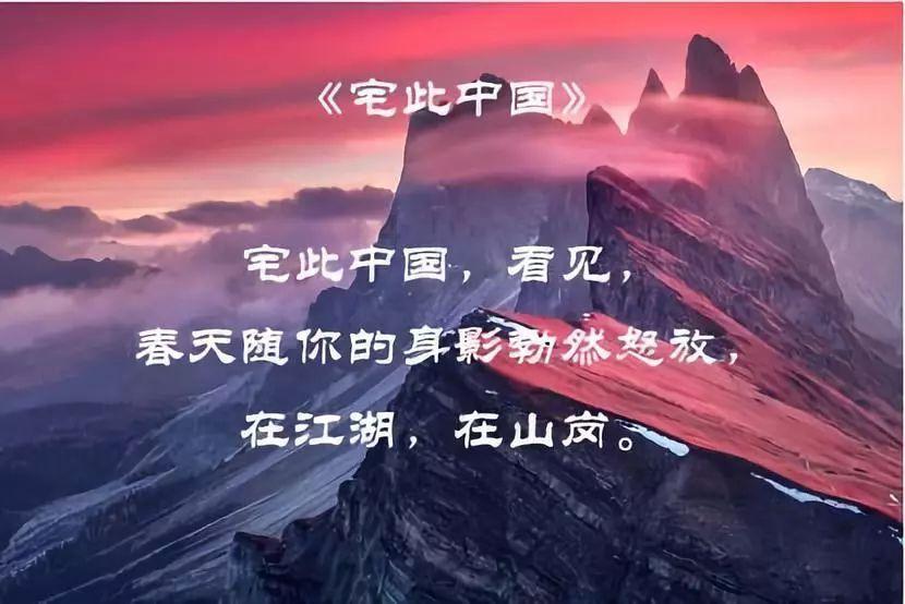 88影视