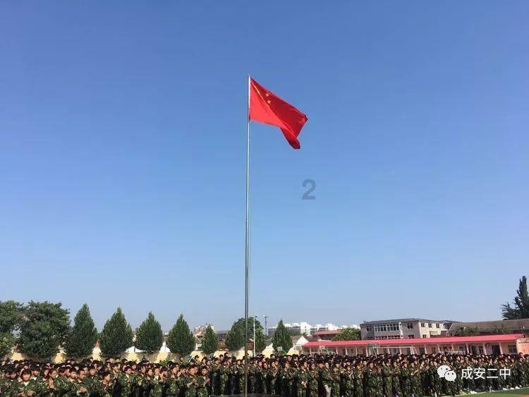 阿姆斯特丹迎来郁金香日 民众聚集广场采摘郁金香