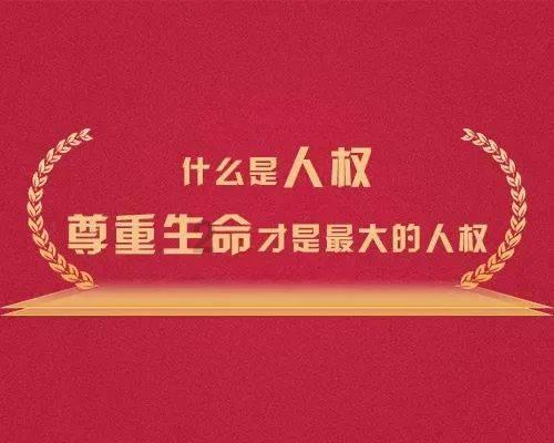 虫虫助手下载