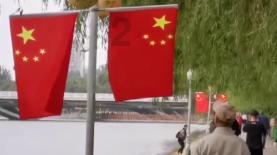 虫虫助手下载