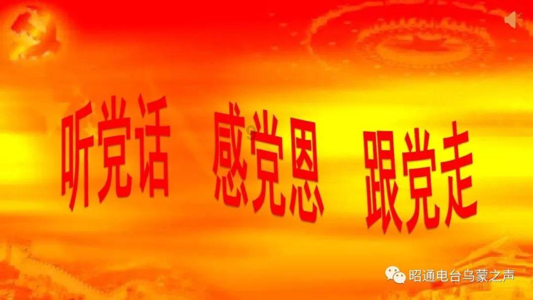 虫虫助手下载