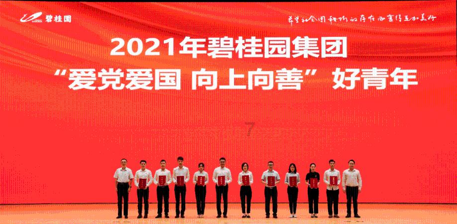 美妙圣诞节拼图