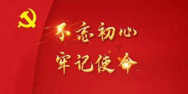 金牌保镖熊先生