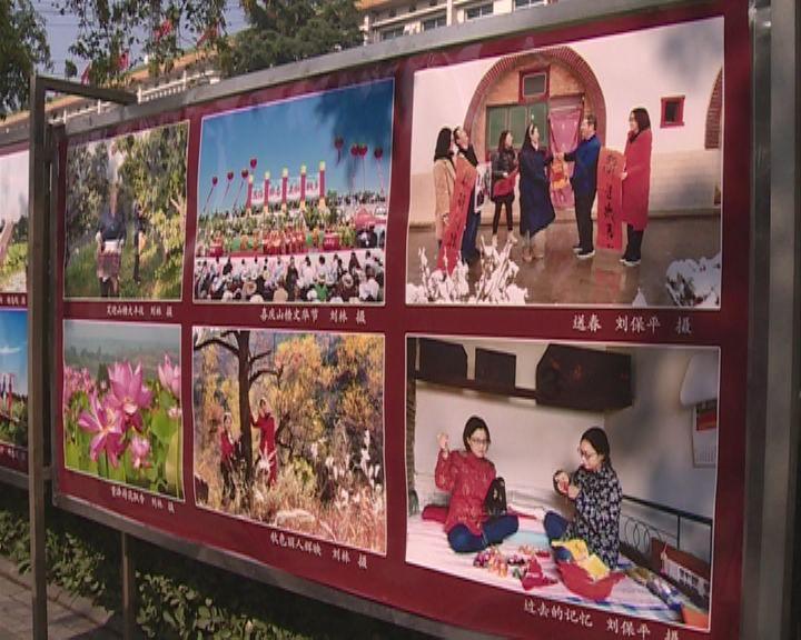 全民烧脑3去广告版