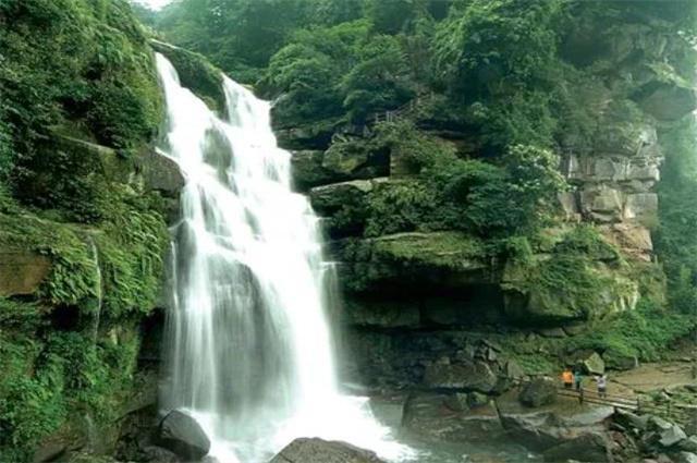 QQ企鹅