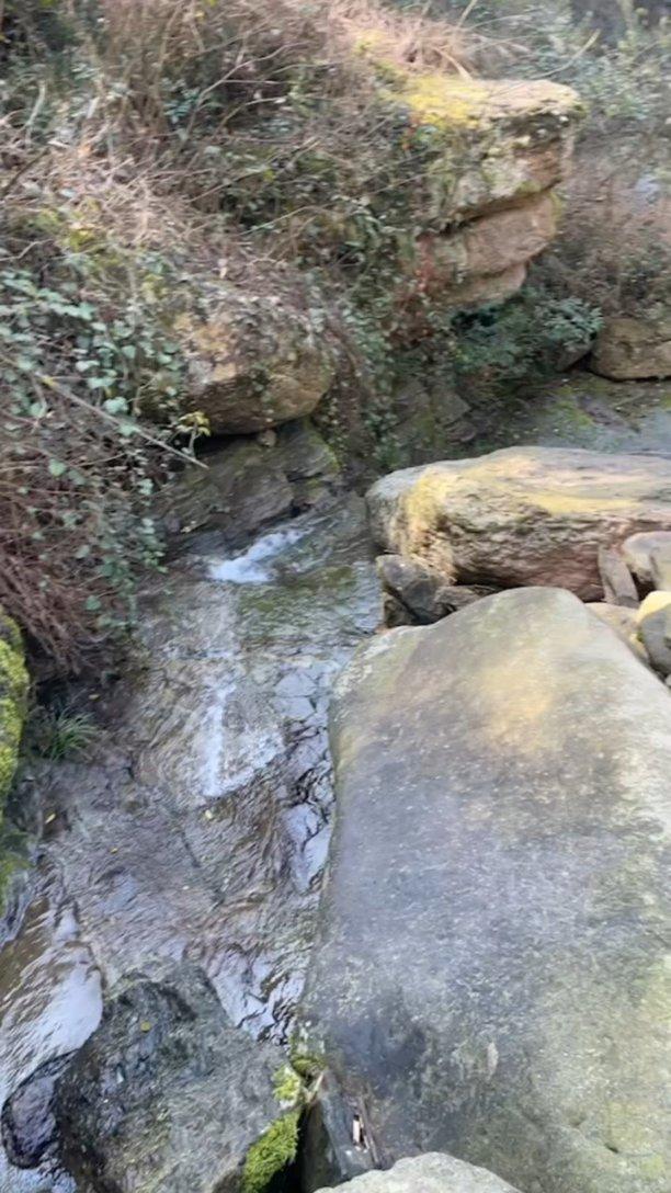 逃离阴森的岛屿